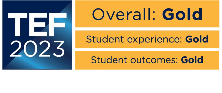 Tef gold award logo representing exceptional student experience in higher education, showcasing excellence in teaching quality.