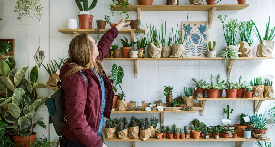 o Guts No Glory a lovely independent plant shop in Exeter